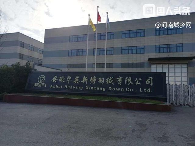 深入基层问计，致力健康发展-----华英农业高管团