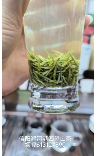 河南省信阳毛尖绿茶的功效与及其作用