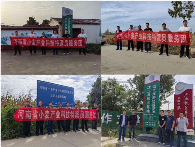 把握形势 因地制宜 科学运筹小麦备播工作