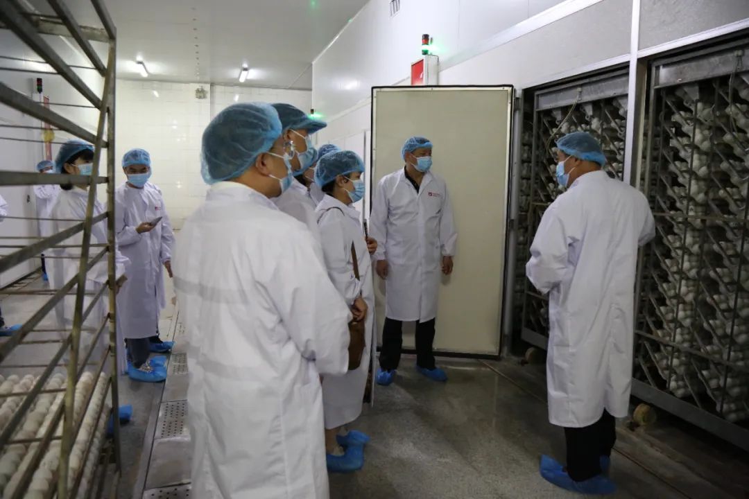 开展投教活动 关注企业发展——中小投资者走进华英农业零距离调研交流成效斐然
