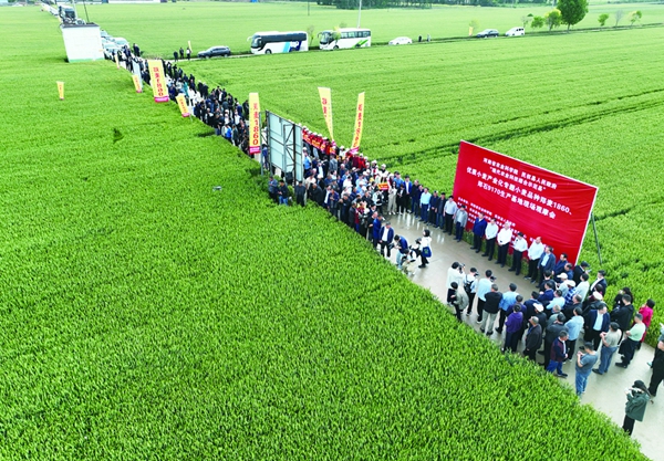 河南省农业科学院院县共建（民权）推广郑麦1860、郑石9170把民权小麦打造成响当当的品牌