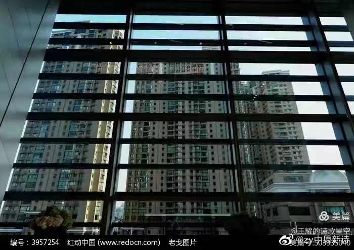 室外远处几束花引我屡屡窗眺  (作者/王耀)