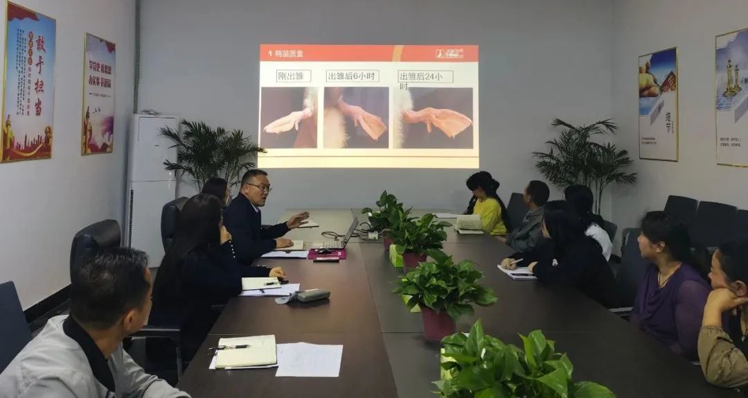 华英种禽公司多措并举加强标准化管理工作