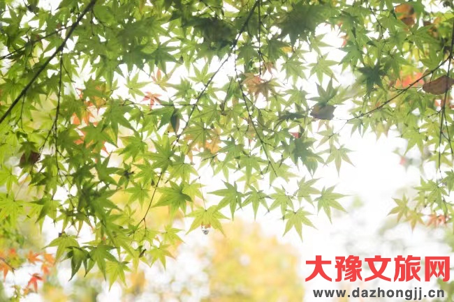 微信图片_20240118163425