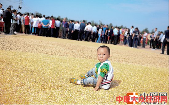 首届“中国农民丰收节”河南系列活动启幕