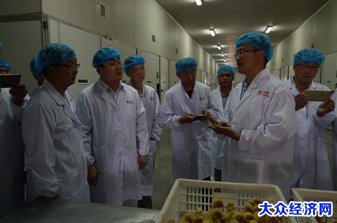 新疆阿克苏考察团来华英参观考察本文作者:王海静 发布时间:2016-07-13 17:05:19 点击量:507