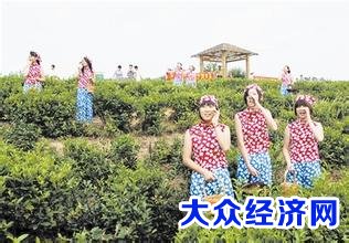 南湾湖风景