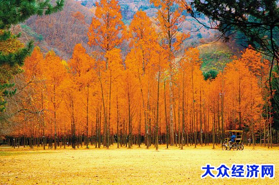 出境去寻周边“暖暖的秋意”（组图）